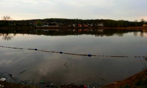 Staw Kalina