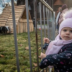 Żywa szopka w Świętochłowicach