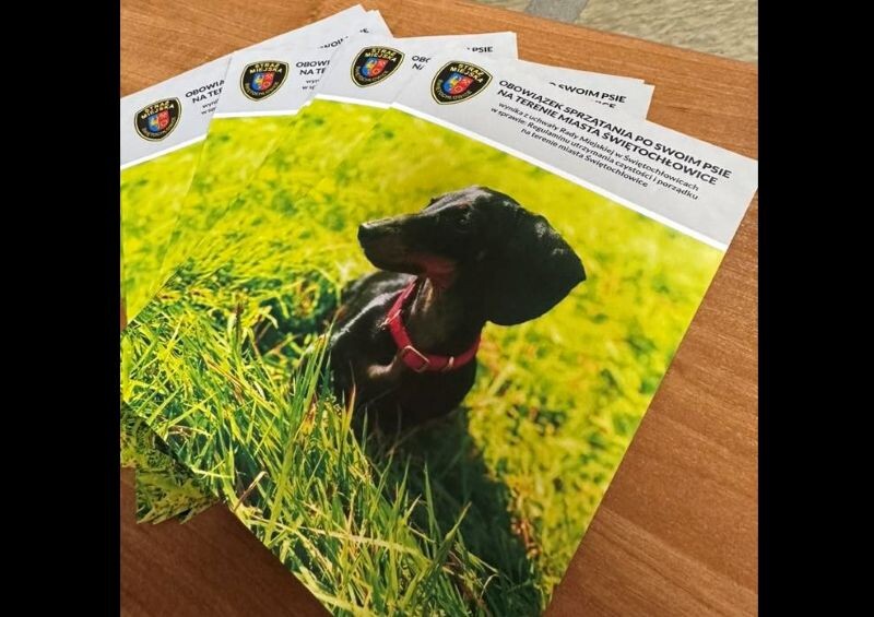 Rusza akcja Straży Miejskiej! Kontrole właścicieli psów w mieście