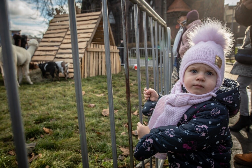 Wspólne obchody Święta Trzech Króli w Świętochłowicach. Największą popularnością wśród mieszkańców wzbudziła żywa szopka, która stanęła na placu ks. Leopolda Raabe.

fot. UM Świętochłowice